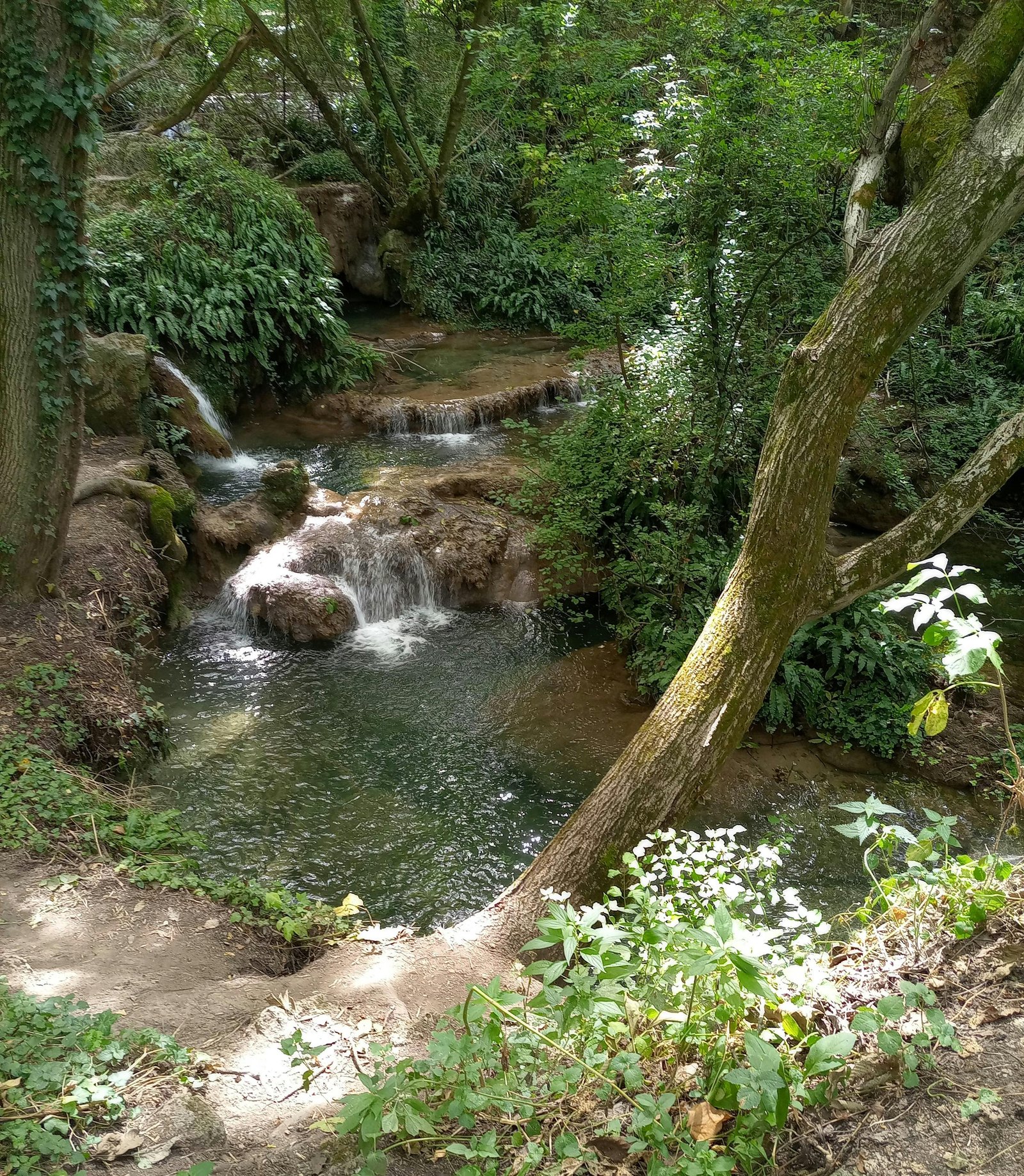 The Algar Waterfalls