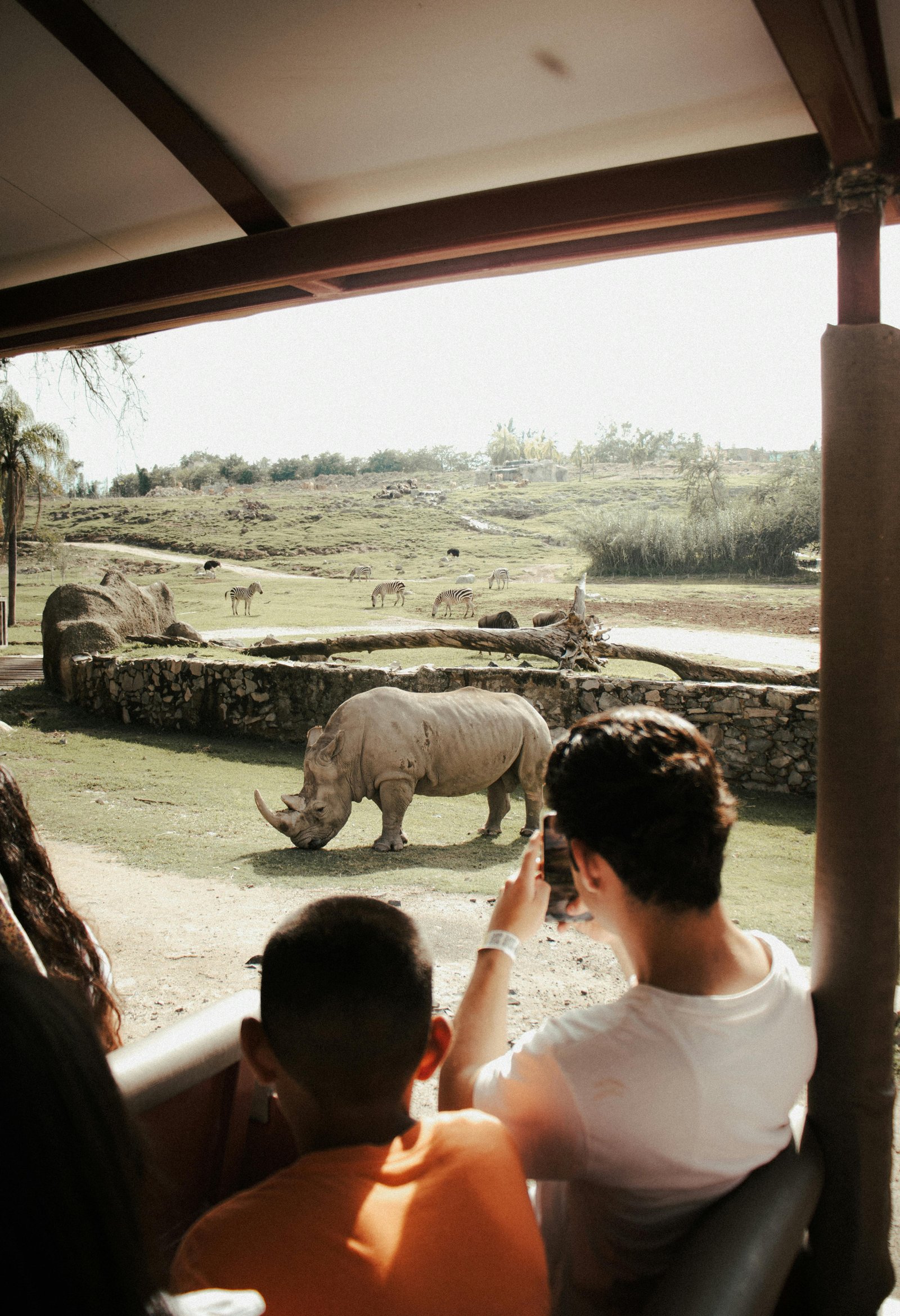 Rio Safari Elche: A day safari with the whole family